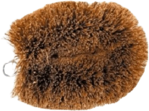 Brosse Fibre Coco